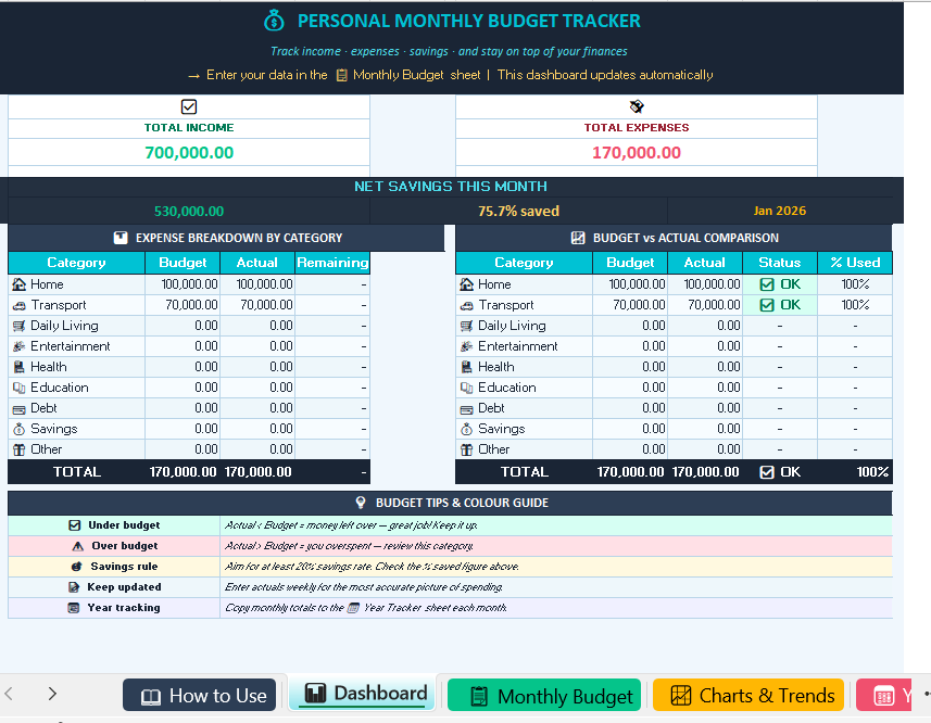 Monthly Budget Template preview